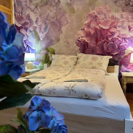 Tulipan Villa Panzio Szolnok Bagian luar foto