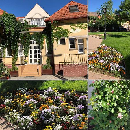 Tulipan Villa Panzio Szolnok Bagian luar foto