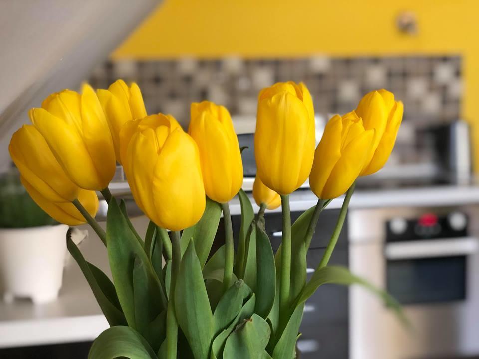 Tulipan Villa Panzio Szolnok Bagian luar foto
