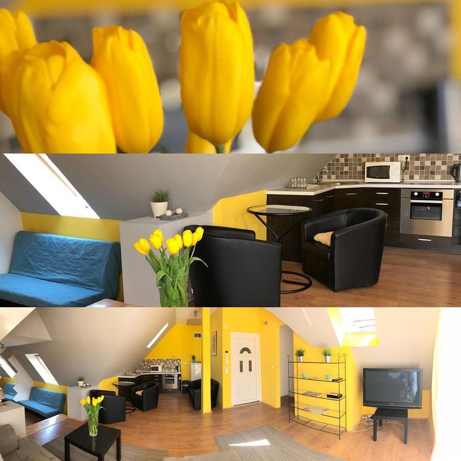 Tulipan Villa Panzio Szolnok Bagian luar foto