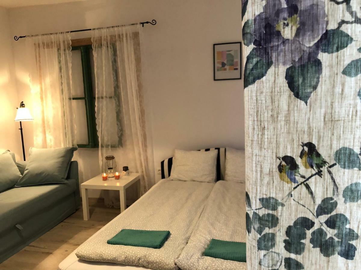 Tulipan Villa Panzio Szolnok Bagian luar foto